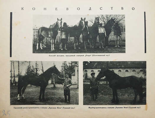 Колхозы в фотографиях с объяснительным текстом. Фото М. Каценко. М.-Л., 1930.